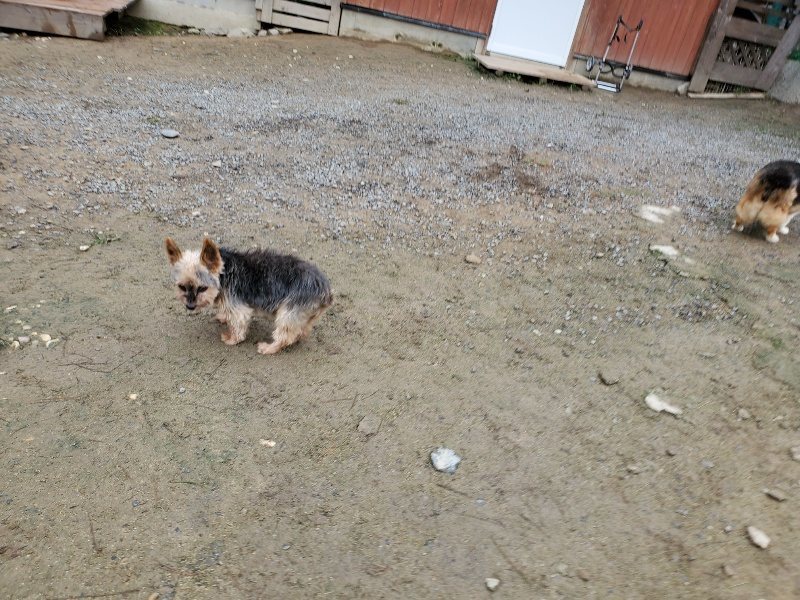 f:id:roukenhome-ann:20191021200957j:plain f:id:roukenhome-ann:20191021200957j:plain
