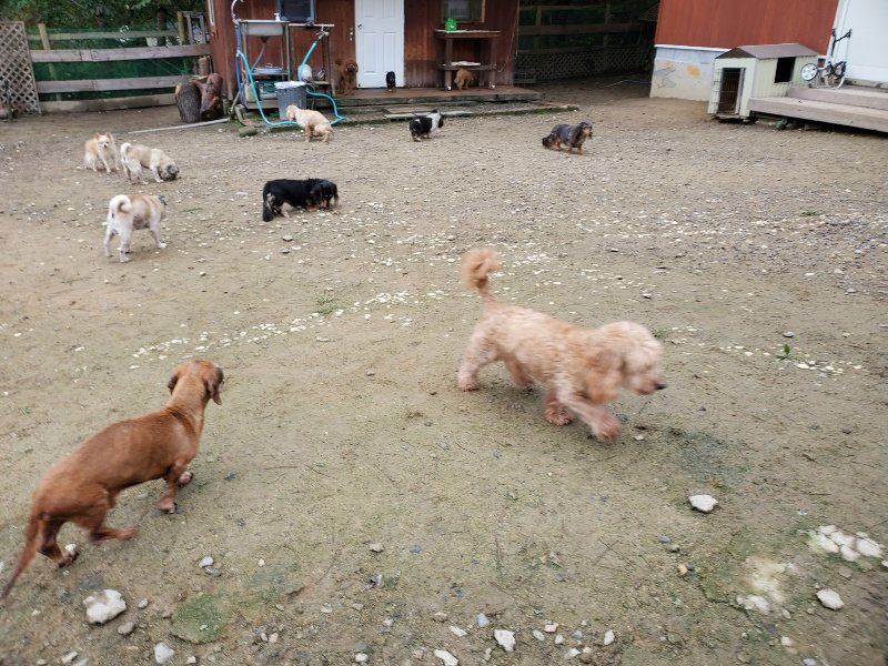 f:id:roukenhome-ann:20191021201003j:plain f:id:roukenhome-ann:20191021201003j:plain