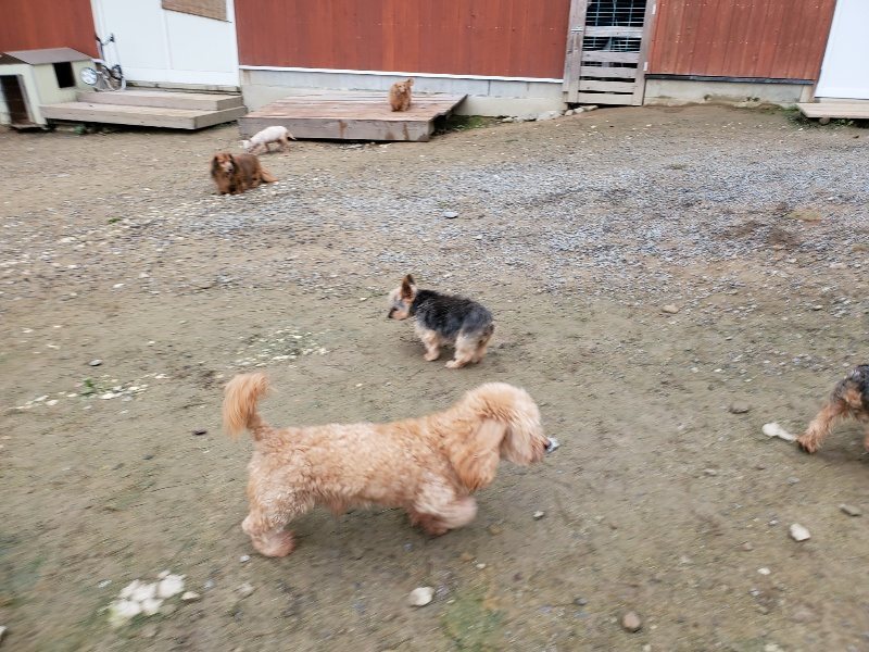 f:id:roukenhome-ann:20191021201012j:plain f:id:roukenhome-ann:20191021201012j:plain