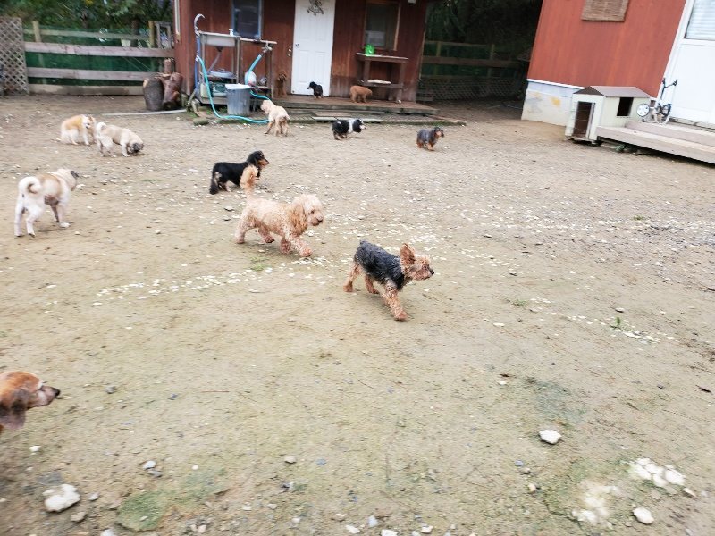 f:id:roukenhome-ann:20191021201427j:plain f:id:roukenhome-ann:20191021201427j:plain