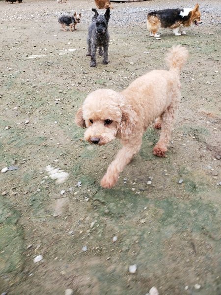 f:id:roukenhome-ann:20191021201508j:plain f:id:roukenhome-ann:20191021201508j:plain