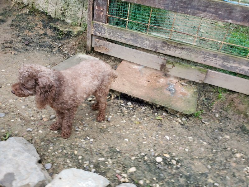 f:id:roukenhome-ann:20191021201536j:plain f:id:roukenhome-ann:20191021201536j:plain