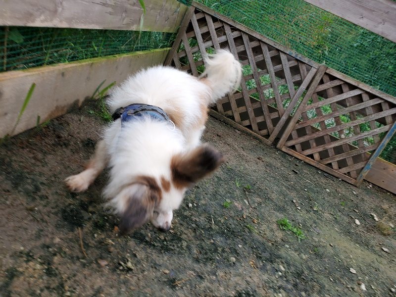 f:id:roukenhome-ann:20191021201601j:plain f:id:roukenhome-ann:20191021201601j:plain