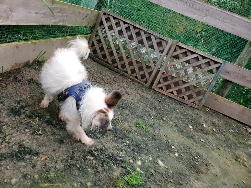 f:id:roukenhome-ann:20191021201613j:plain f:id:roukenhome-ann:20191021201613j:plain
