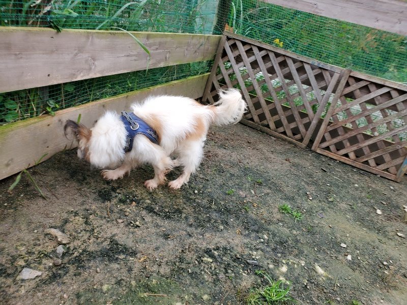 f:id:roukenhome-ann:20191021201624j:plain f:id:roukenhome-ann:20191021201624j:plain