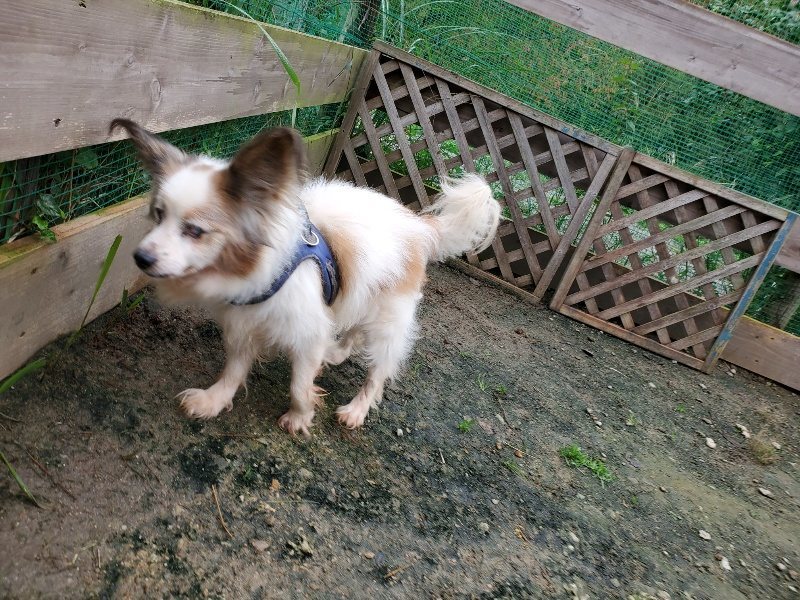 f:id:roukenhome-ann:20191021201636j:plain f:id:roukenhome-ann:20191021201636j:plain