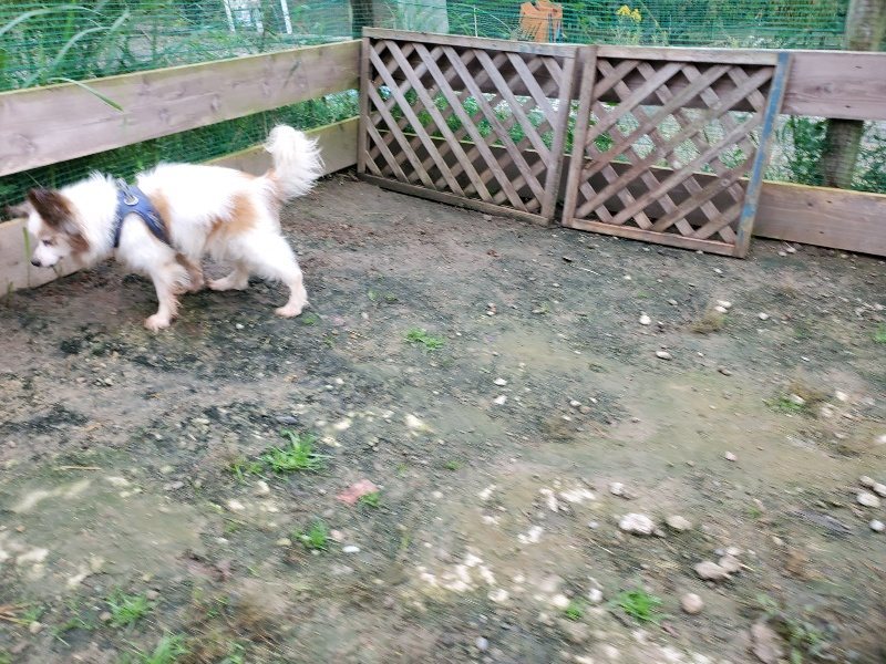 f:id:roukenhome-ann:20191021201645j:plain f:id:roukenhome-ann:20191021201645j:plain