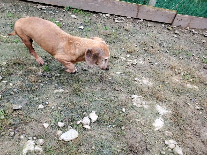 f:id:roukenhome-ann:20191021201711j:plain f:id:roukenhome-ann:20191021201711j:plain