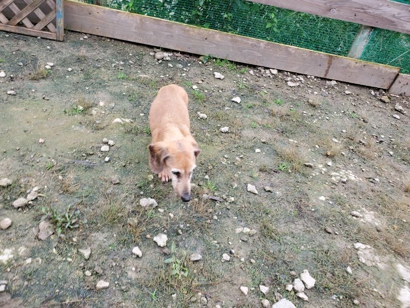 f:id:roukenhome-ann:20191021201721j:plain f:id:roukenhome-ann:20191021201721j:plain