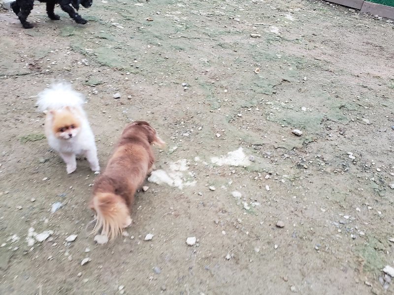 f:id:roukenhome-ann:20191021202706j:plain f:id:roukenhome-ann:20191021202706j:plain