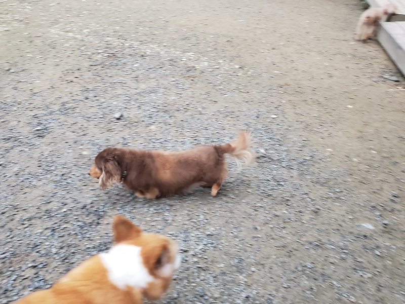 f:id:roukenhome-ann:20191021202726j:plain f:id:roukenhome-ann:20191021202726j:plain