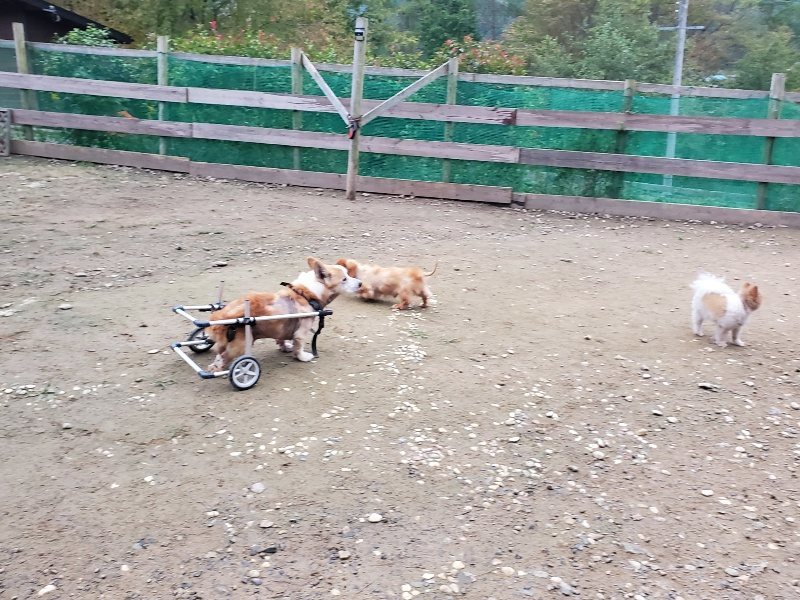 f:id:roukenhome-ann:20191021202740j:plain f:id:roukenhome-ann:20191021202740j:plain