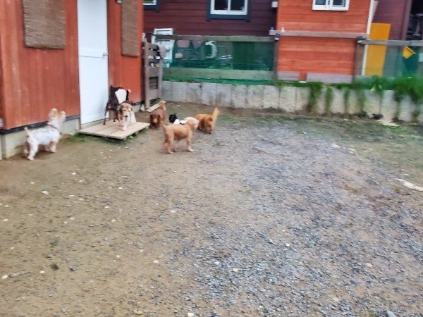 f:id:roukenhome-ann:20191021202748j:plain f:id:roukenhome-ann:20191021202748j:plain