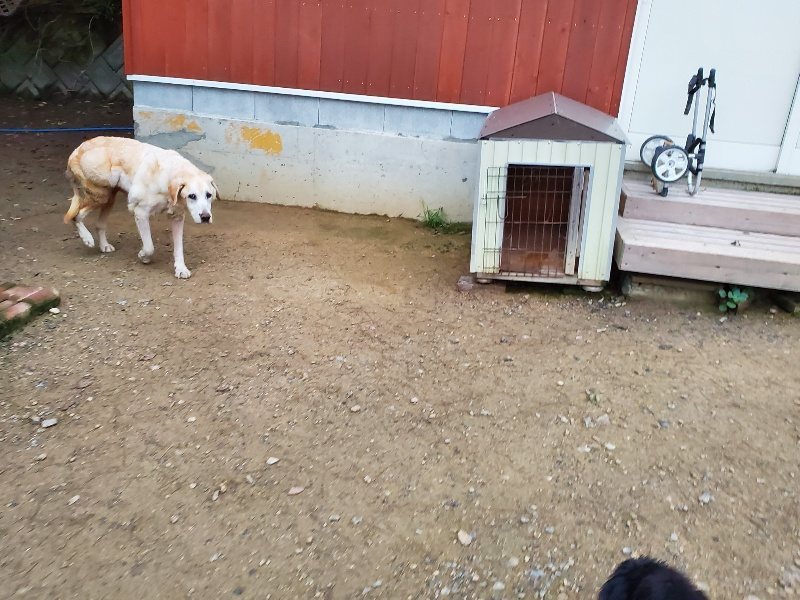 f:id:roukenhome-ann:20191021202823j:plain f:id:roukenhome-ann:20191021202823j:plain