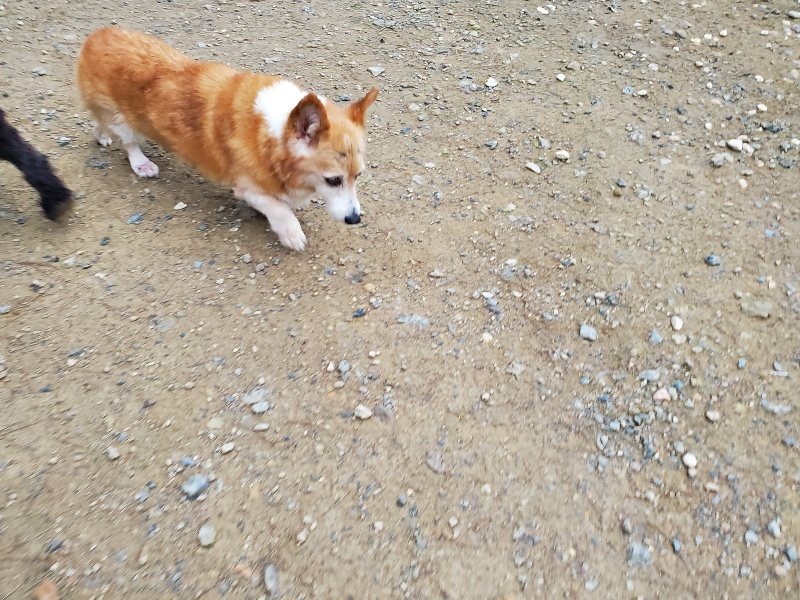 f:id:roukenhome-ann:20191021202852j:plain f:id:roukenhome-ann:20191021202852j:plain