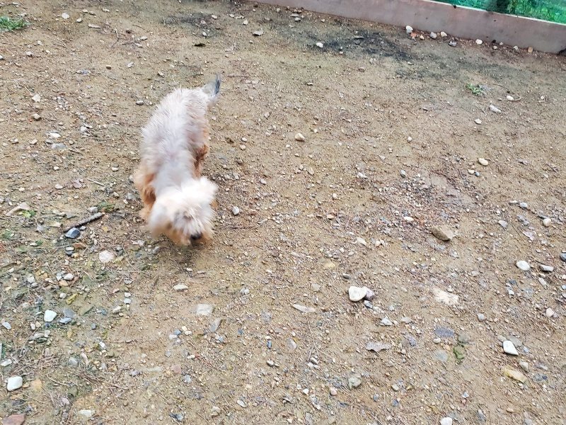 f:id:roukenhome-ann:20191021202909j:plain f:id:roukenhome-ann:20191021202909j:plain