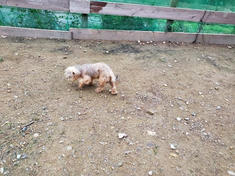 f:id:roukenhome-ann:20191021202927j:plain f:id:roukenhome-ann:20191021202927j:plain
