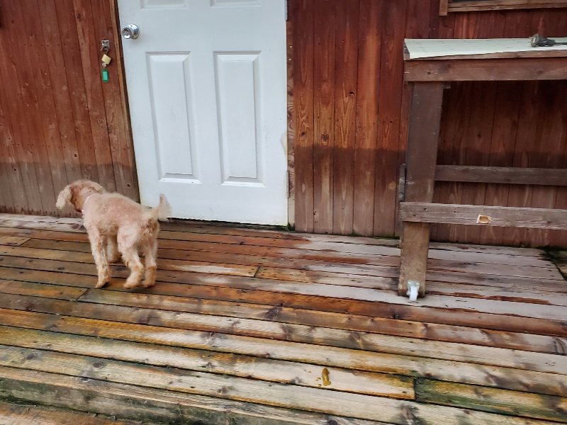 f:id:roukenhome-ann:20191021203010j:plain f:id:roukenhome-ann:20191021203010j:plain