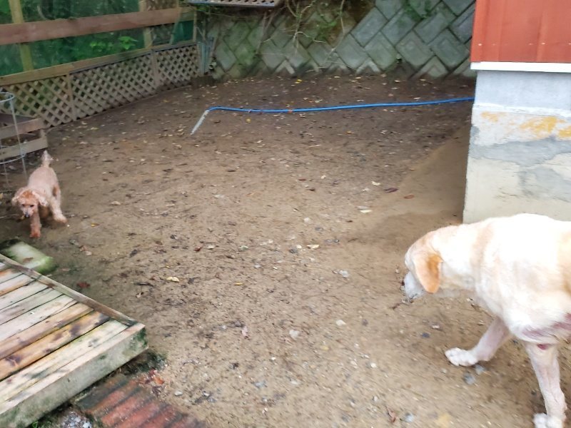 f:id:roukenhome-ann:20191021203025j:plain f:id:roukenhome-ann:20191021203025j:plain