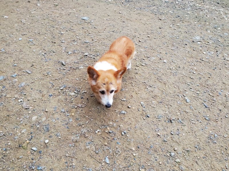 f:id:roukenhome-ann:20191021203044j:plain f:id:roukenhome-ann:20191021203044j:plain