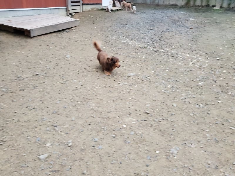 f:id:roukenhome-ann:20191021203056j:plain f:id:roukenhome-ann:20191021203056j:plain