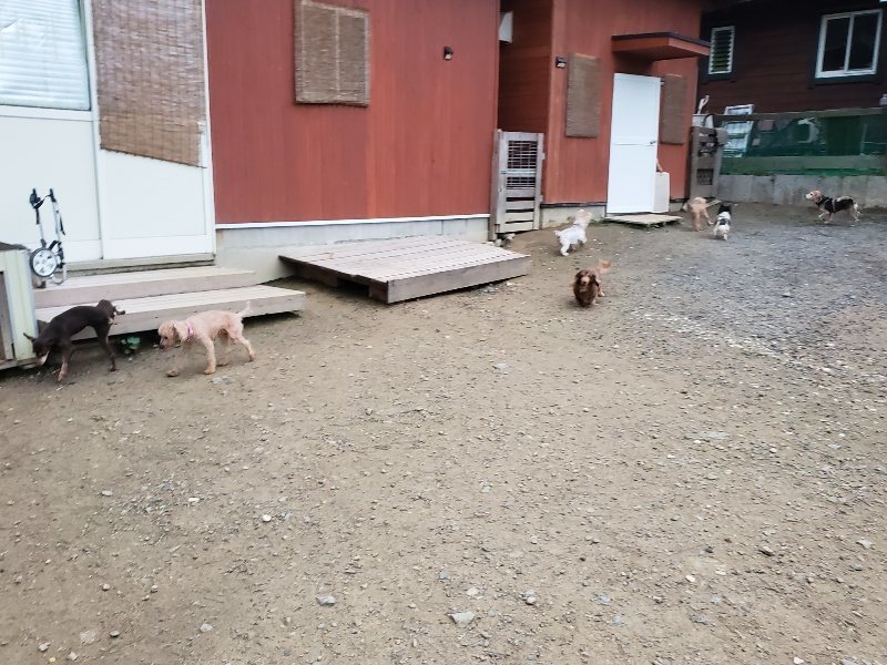 f:id:roukenhome-ann:20191021203103j:plain f:id:roukenhome-ann:20191021203103j:plain