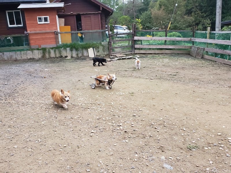 f:id:roukenhome-ann:20191021203112j:plain f:id:roukenhome-ann:20191021203112j:plain