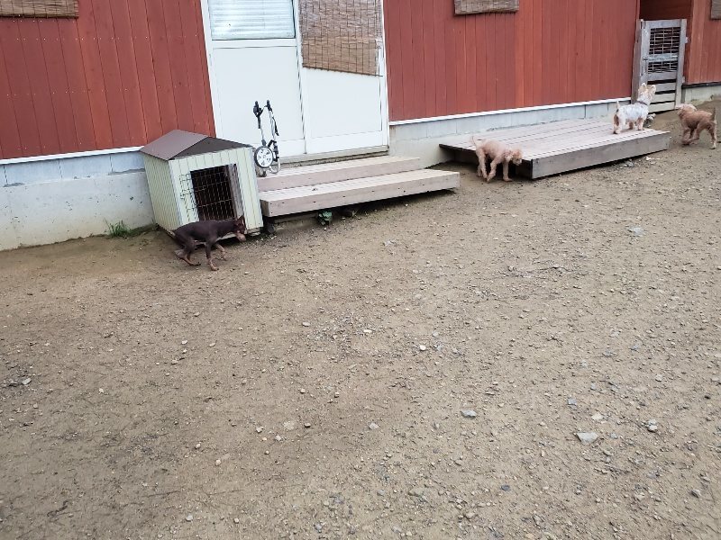 f:id:roukenhome-ann:20191021203131j:plain f:id:roukenhome-ann:20191021203131j:plain