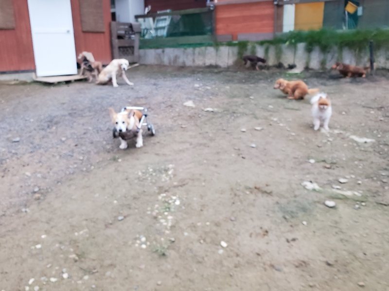 f:id:roukenhome-ann:20191021204253j:plain f:id:roukenhome-ann:20191021204253j:plain