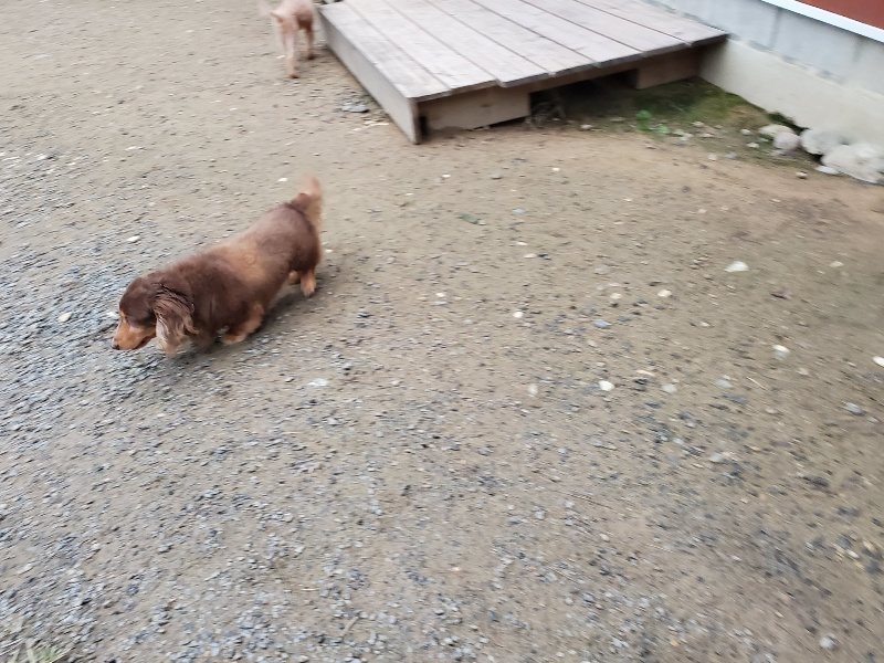 f:id:roukenhome-ann:20191021204315j:plain f:id:roukenhome-ann:20191021204315j:plain