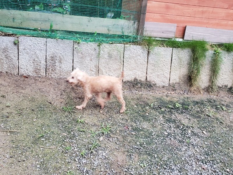 f:id:roukenhome-ann:20191021204340j:plain f:id:roukenhome-ann:20191021204340j:plain