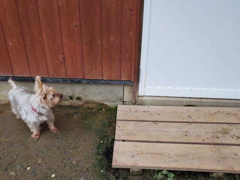 f:id:roukenhome-ann:20191021204345j:plain f:id:roukenhome-ann:20191021204345j:plain