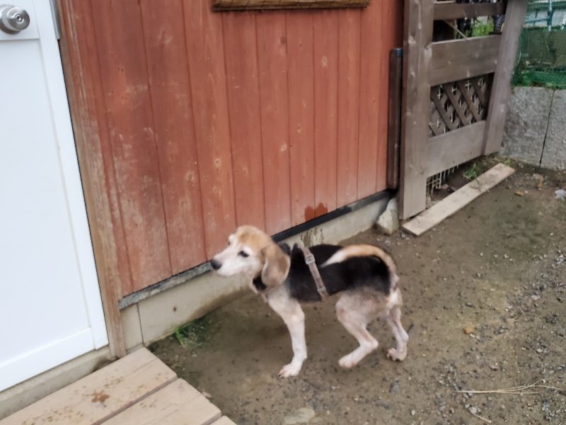f:id:roukenhome-ann:20191021204352j:plain f:id:roukenhome-ann:20191021204352j:plain