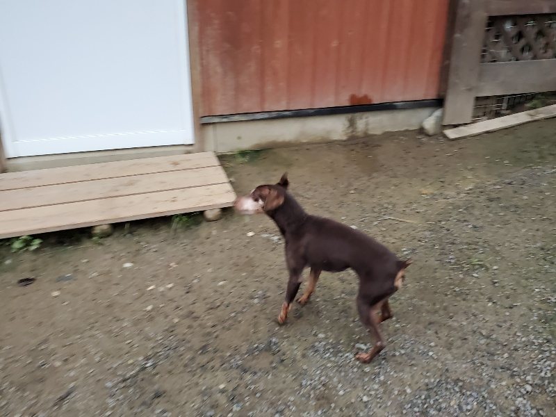 f:id:roukenhome-ann:20191021204407j:plain f:id:roukenhome-ann:20191021204407j:plain