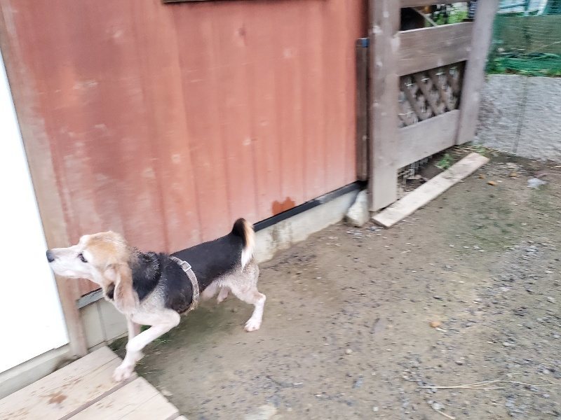 f:id:roukenhome-ann:20191021204415j:plain f:id:roukenhome-ann:20191021204415j:plain