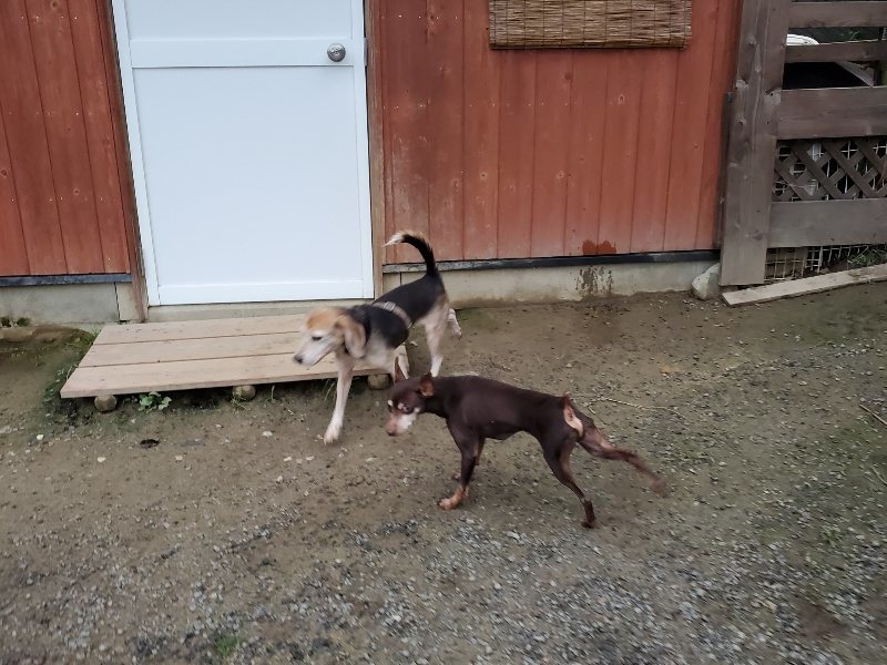 f:id:roukenhome-ann:20191021204427j:plain f:id:roukenhome-ann:20191021204427j:plain