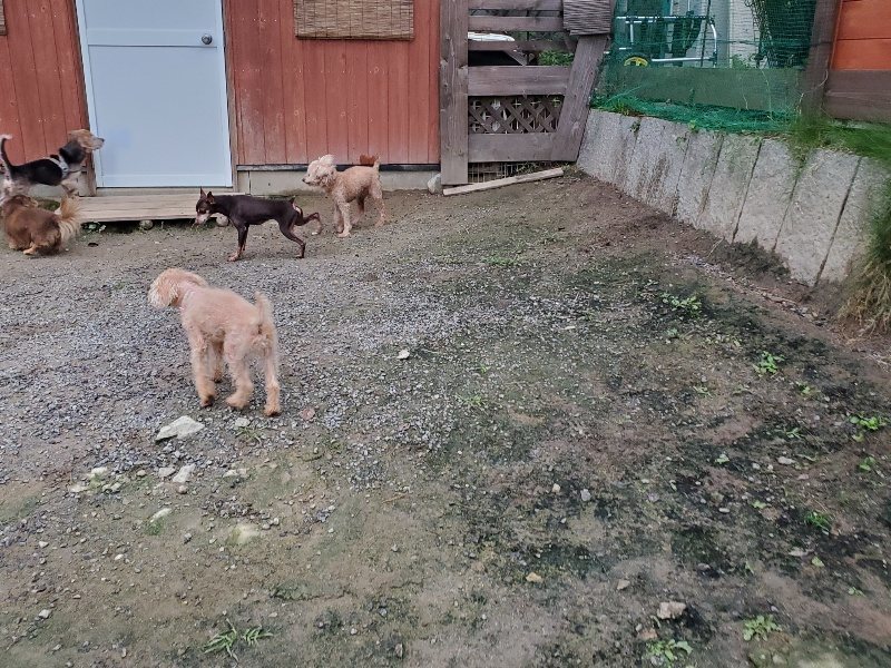f:id:roukenhome-ann:20191021204437j:plain f:id:roukenhome-ann:20191021204437j:plain