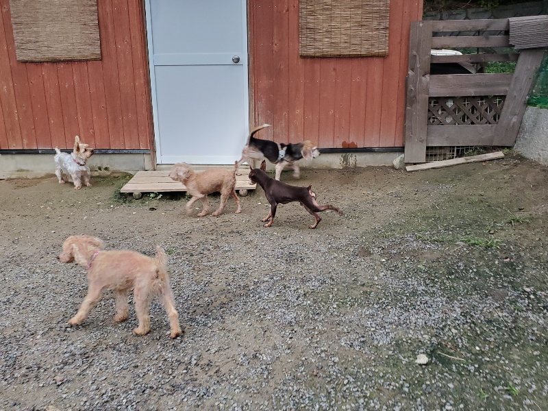 f:id:roukenhome-ann:20191021204453j:plain f:id:roukenhome-ann:20191021204453j:plain