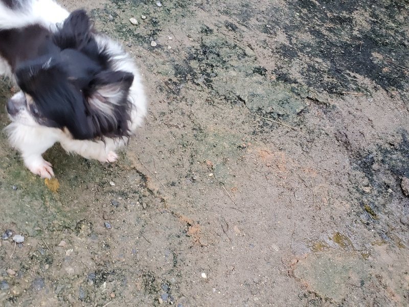 f:id:roukenhome-ann:20191021204503j:plain f:id:roukenhome-ann:20191021204503j:plain