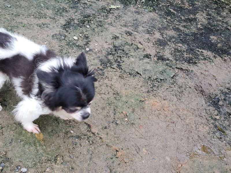 f:id:roukenhome-ann:20191021204520j:plain f:id:roukenhome-ann:20191021204520j:plain