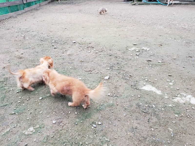 f:id:roukenhome-ann:20191021204527j:plain f:id:roukenhome-ann:20191021204527j:plain