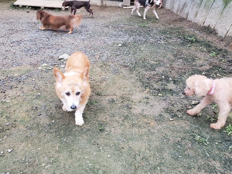 f:id:roukenhome-ann:20191021204536j:plain f:id:roukenhome-ann:20191021204536j:plain