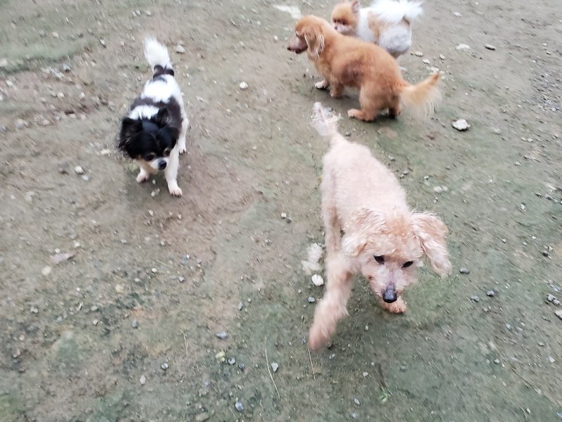 f:id:roukenhome-ann:20191021204555j:plain f:id:roukenhome-ann:20191021204555j:plain