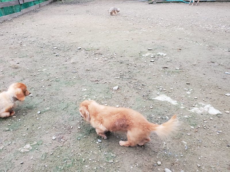 f:id:roukenhome-ann:20191021204607j:plain f:id:roukenhome-ann:20191021204607j:plain