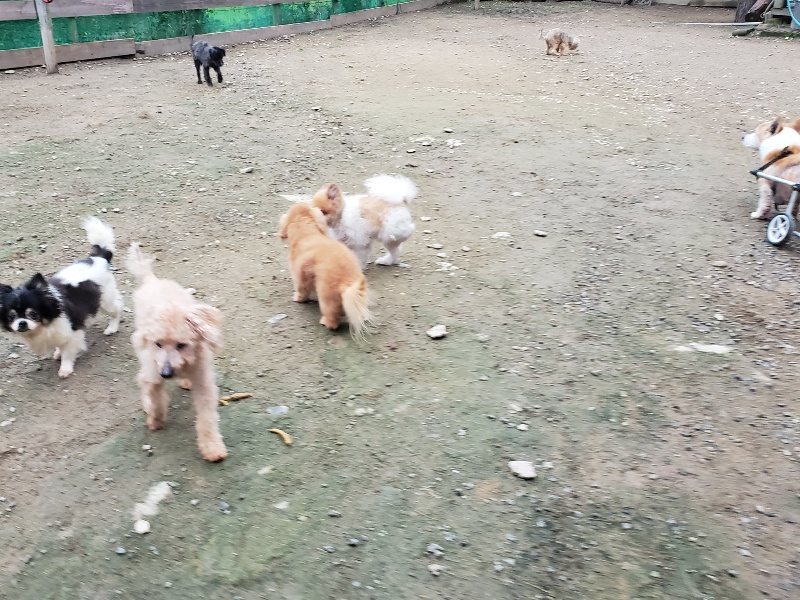 f:id:roukenhome-ann:20191021204625j:plain f:id:roukenhome-ann:20191021204625j:plain