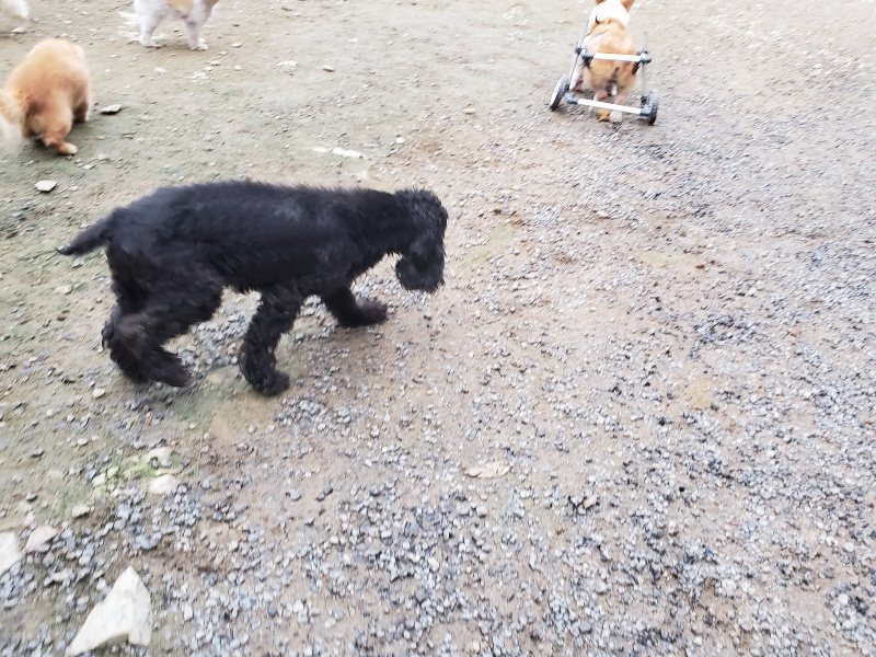f:id:roukenhome-ann:20191021204633j:plain f:id:roukenhome-ann:20191021204633j:plain