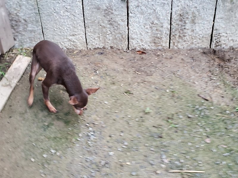 f:id:roukenhome-ann:20191021204700j:plain f:id:roukenhome-ann:20191021204700j:plain
