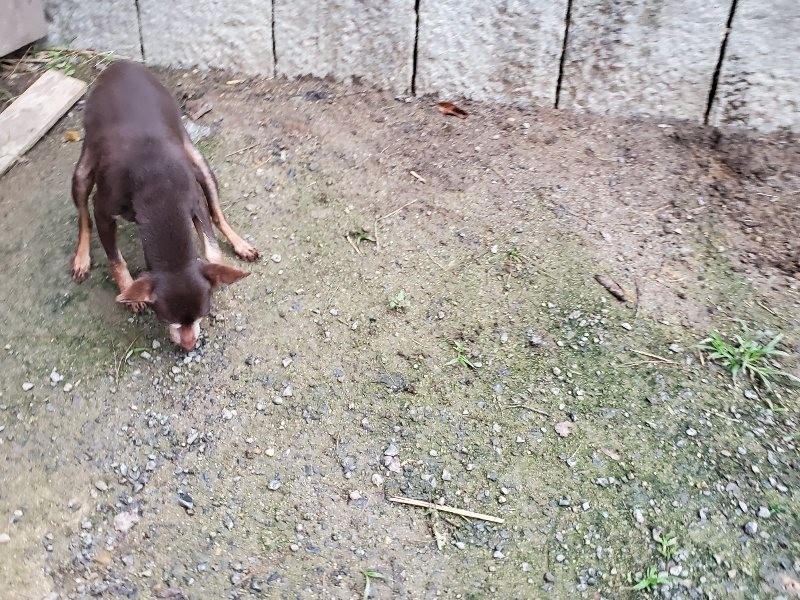 f:id:roukenhome-ann:20191021204720j:plain f:id:roukenhome-ann:20191021204720j:plain