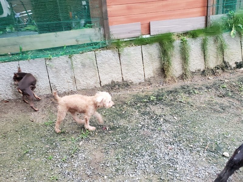 f:id:roukenhome-ann:20191021204808j:plain f:id:roukenhome-ann:20191021204808j:plain