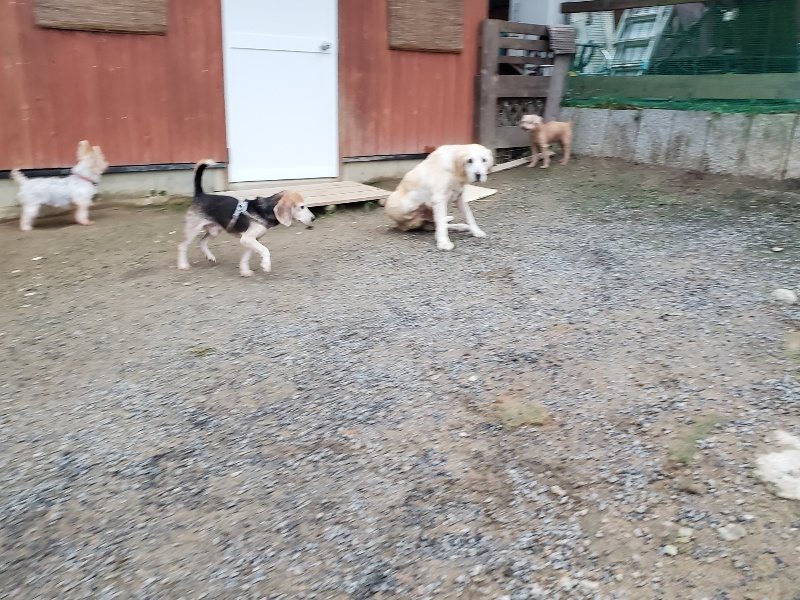 f:id:roukenhome-ann:20191021204821j:plain f:id:roukenhome-ann:20191021204821j:plain